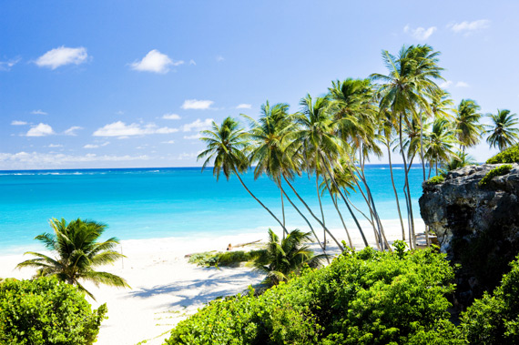 Beautiful Bottom Bay Beach lined with palm trees on the east cost of Barbados, Caribbean.