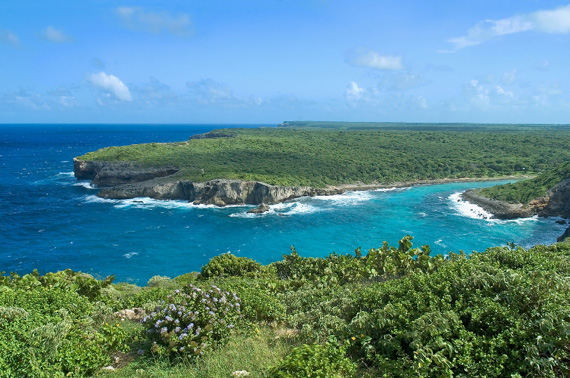 Scenic cliffs and coastal landscape of Guadeloupe, Caribbean.